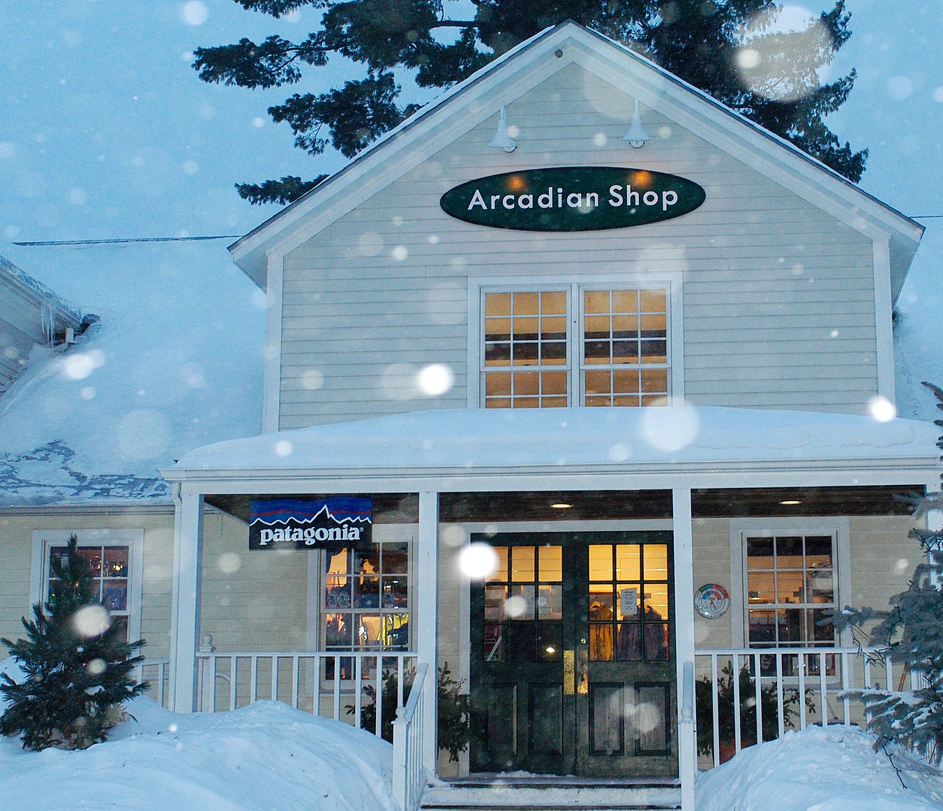 Arcadian Shop & Patagonia: A Legacy of Adventure and Sustainability