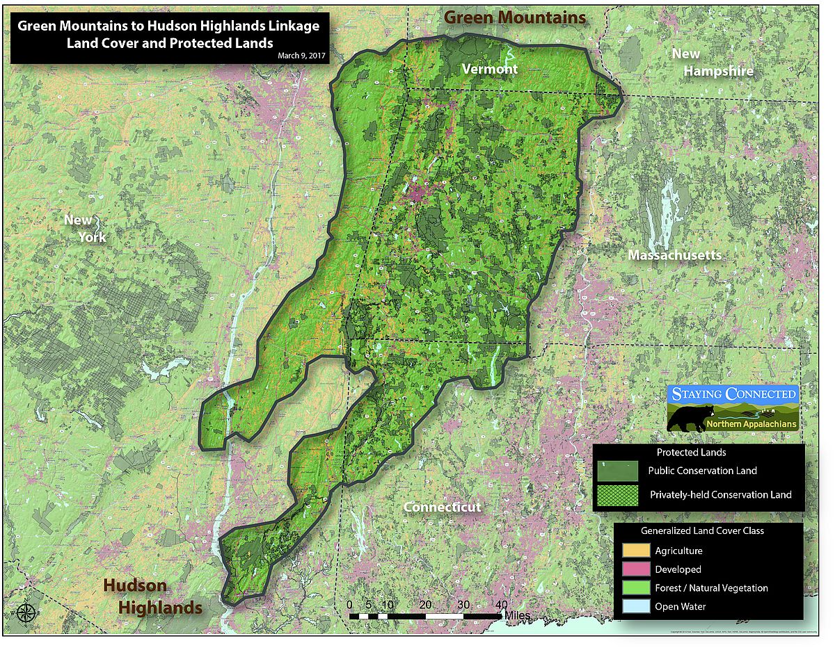 What is the Berkshire Wildlife Linkage?