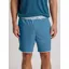 Free Fly Reverb Short in Pacific Blue