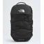 Borealis Daypack - 4JH/Asphalt Grey