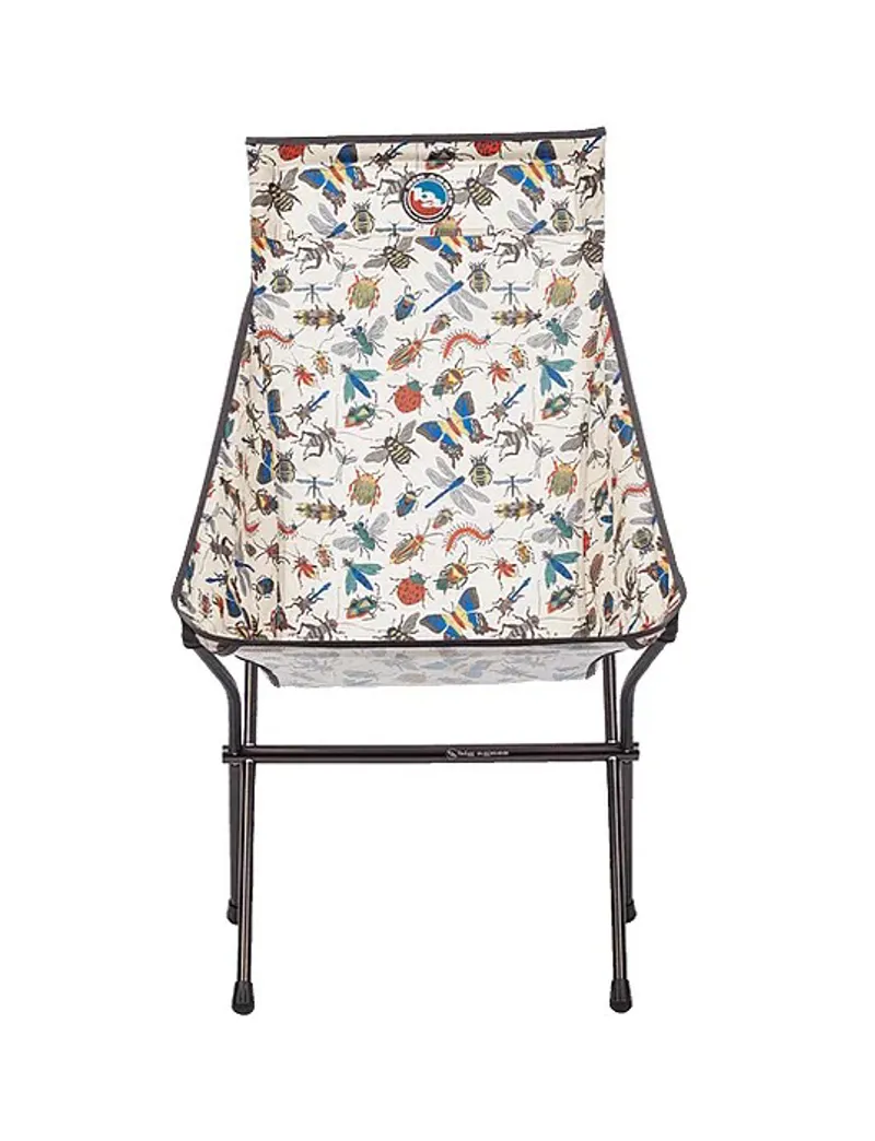 Big Agnes Big Six Camp Chair in Bugs