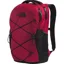 Jester Daypack - 5BO/Beetroot/Black