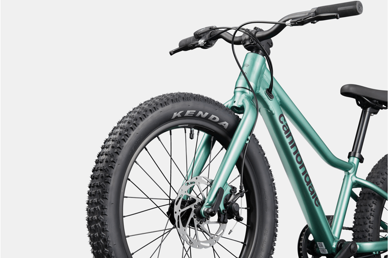 Cannondale Kid's Trail Plus 20 in Cactus Green-4