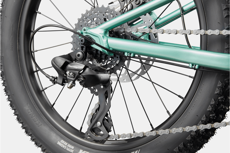 Cannondale Kid's Trail Plus 20 in Cactus Green-5