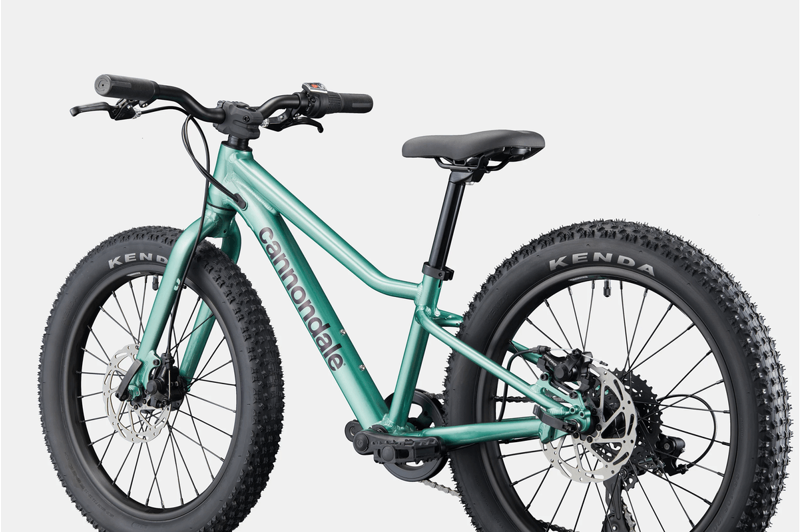Cannondale Kid's Trail Plus 20 in Cactus Green-2