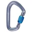 Black Diamond HotForge Screwgate Carabiner in Grey