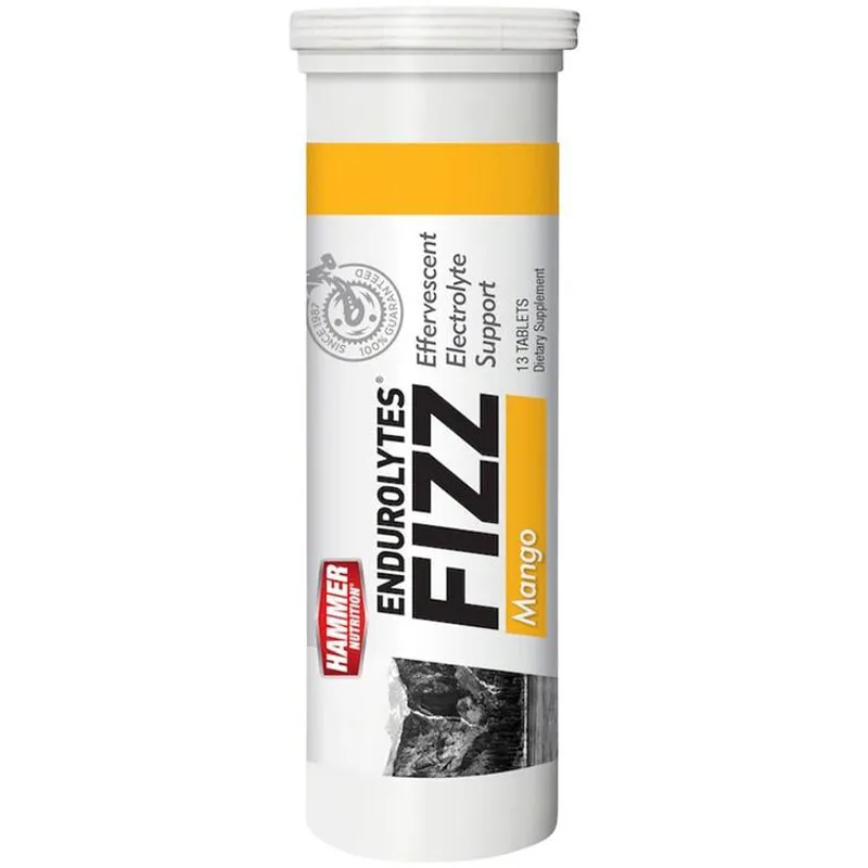 Hammer Nutrition Endurolytes Fizz In Mango