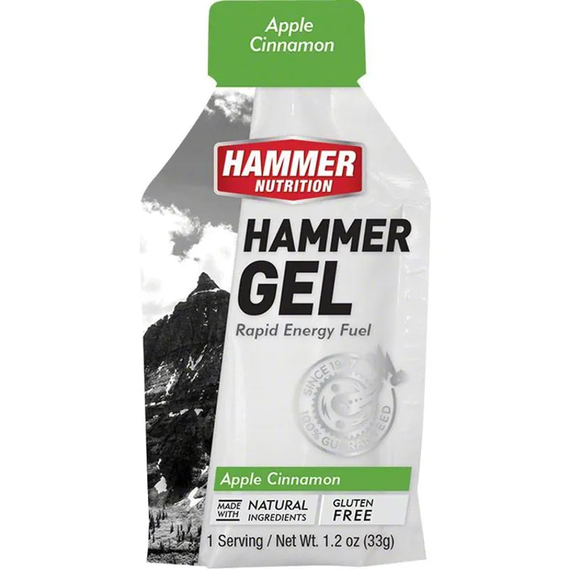 Hammer Nutrition Gel Single Pouch In Apple Cinnamon