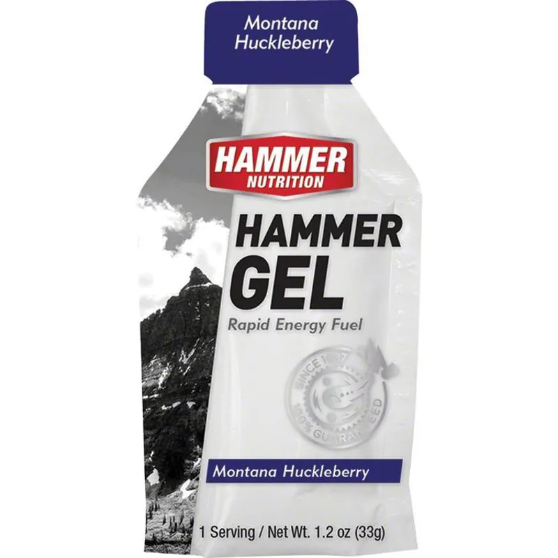 Hammer Nutrition Gel Single Pouch in Huckleberry