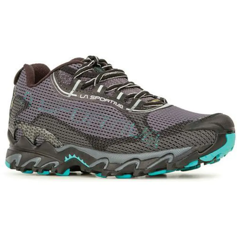 La Sportiva Wildcat 2.0 Gtx in Carbon Aqua