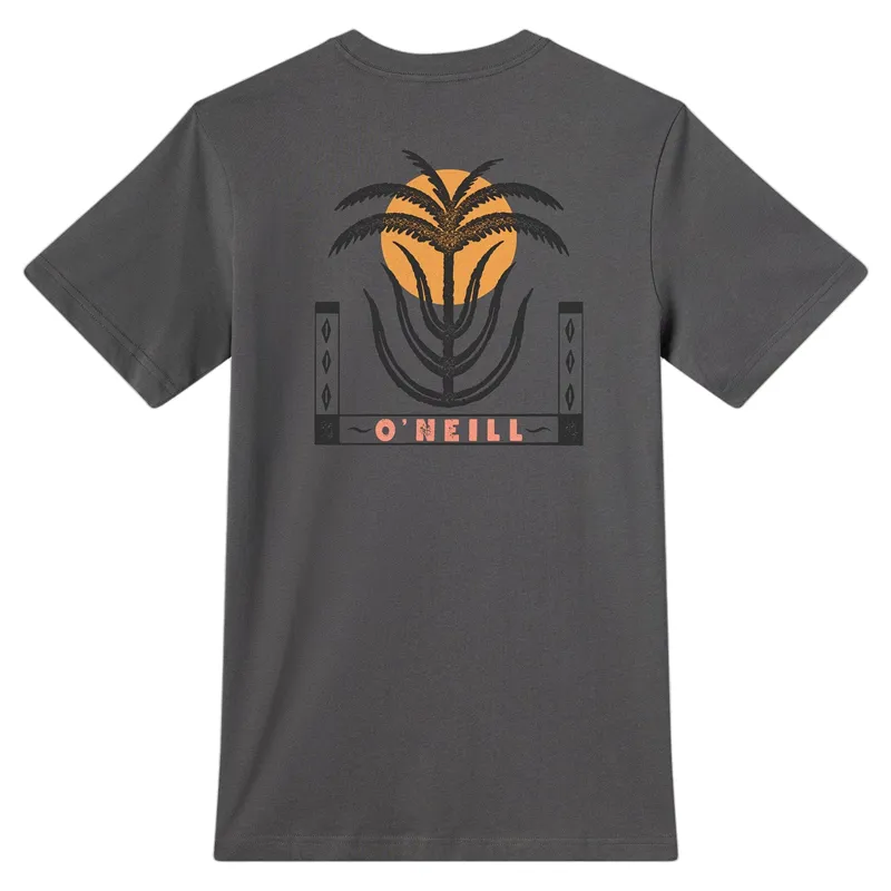O'Neill Palm Throne Classic SS Tee in Dark Shadow-1