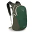 Osprey Daylite in Green Canopy