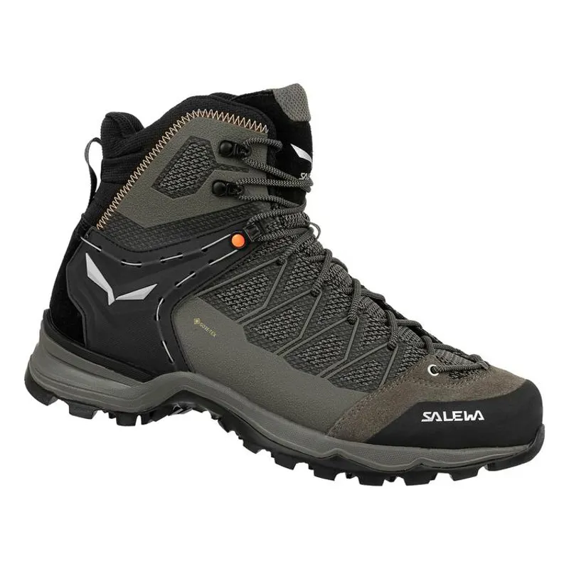 Salewa Mtn Trainer Lite Mid Gtx in Bungee Cord