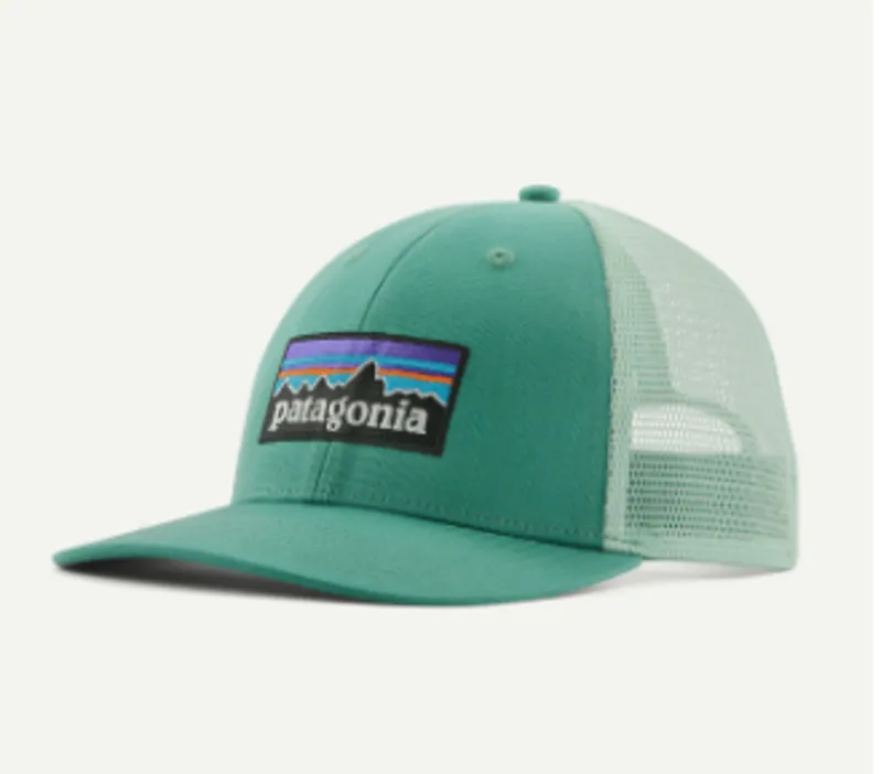 Patagonia P6 Logo LoPro Trucker Hat in Heartleaf Green