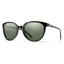 Smith Cheetah in Black with ChromaPop Polarized Grey Green Lens