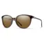 Smith Cheetah in Rosewood Crystal with ChromaPop Polarized Brown Lens