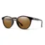 Smith Westward in Matte Tortoise with ChromaPop Brown Lens