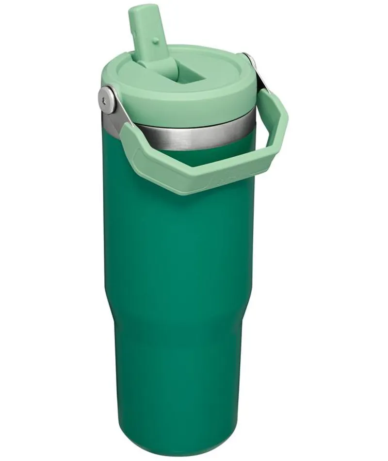Stanley Classic Flip Straw Tumbler 30Oz in Alpine