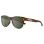 Suncloud Leeway Sunglasses Yellow Tortoise w/Polarized Gray Green Lens