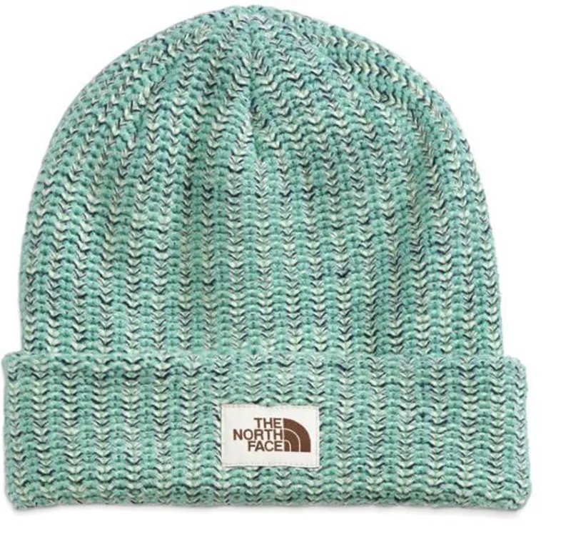 The North Face Salty Bae Lined Beanie in Wasabi
