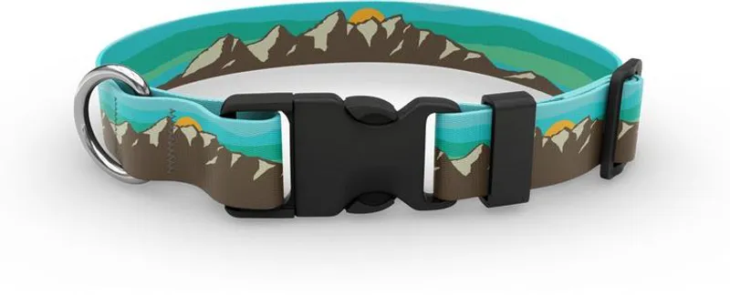 Wingo Coosa Dog Collar in Grand Teton