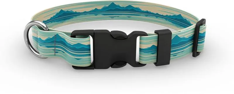 Wingo Coosa Dog Collar in Mountain Lake