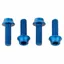 Wolf Tooth Water Bottle Cage Bolts in Blue
