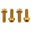 Wolf Tooth Water Bottle Cage Bolts in Gold