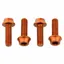 Wolf Tooth Water Bottle Cage Bolts in Orange