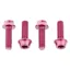 Wolf Tooth Water Bottle Cage Bolts in Pink