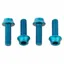 Wolf Tooth Water Bottle Cage Bolts in Teal