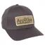 Arcadian Shop Arc Patch Solid Cap in Grey