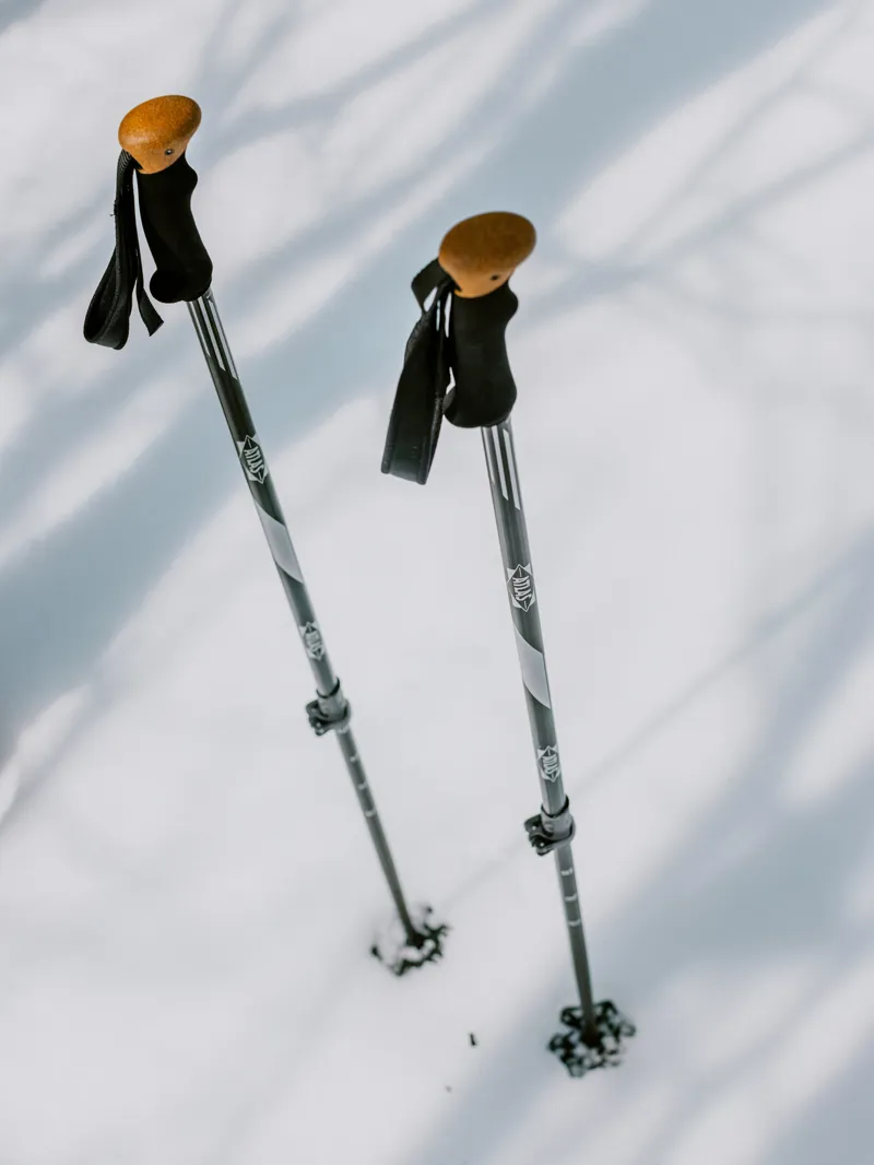 Atlas 2-Piece Adjustable Pole-2