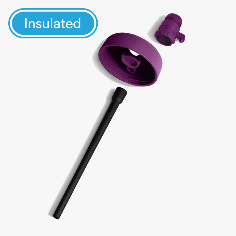 Bivo Trio 21 oz Insulated Water Bottle in Plum-1