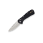 Buck Knives 790 Mini Range Pro Knife in Black