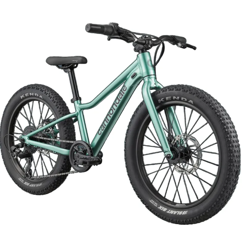 Cannondale Kid's Trail Plus 20 in Cactus Green-1