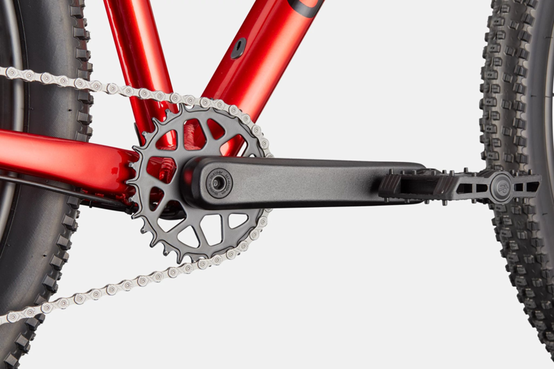 Cannondale Trail 2 Mountain Bike in Metallic Red-4