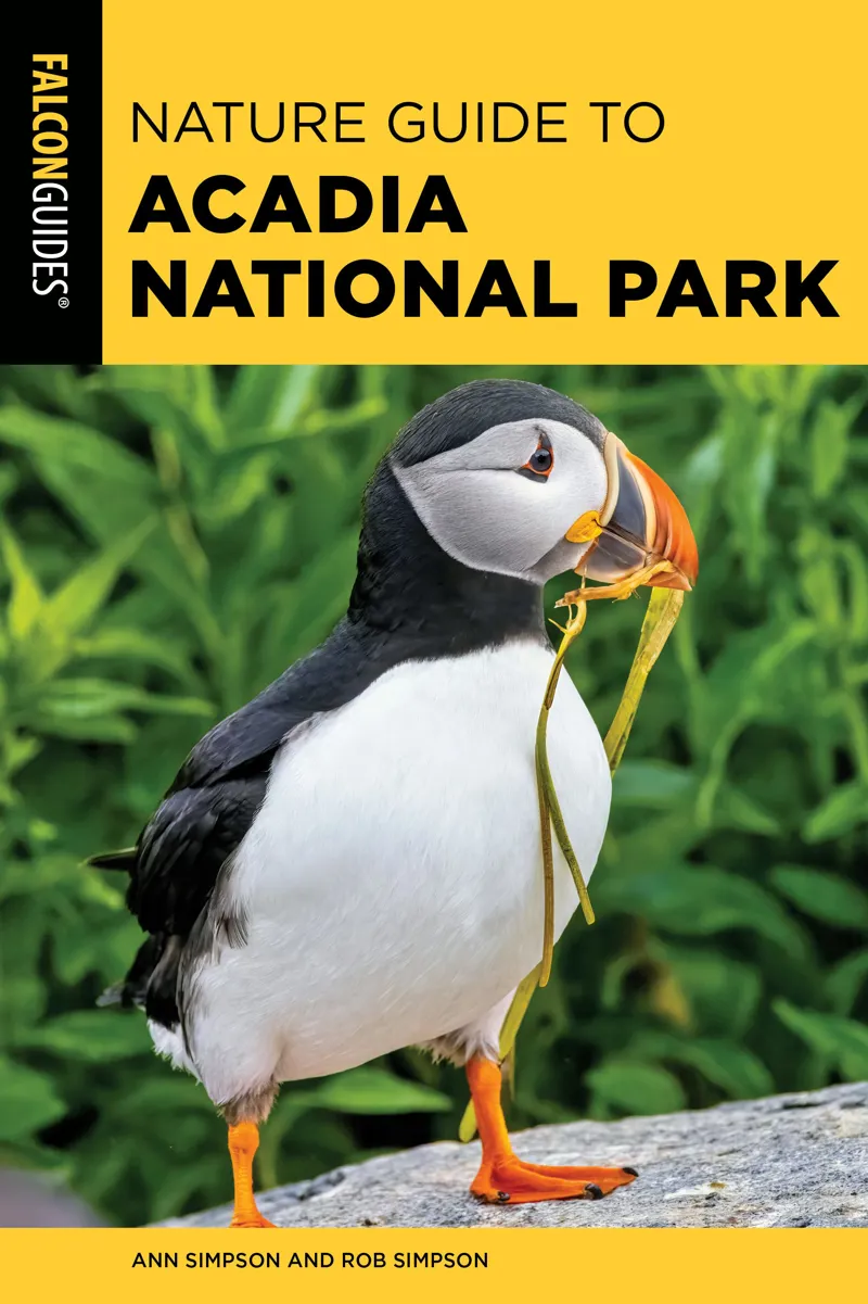 Falcon Guides Nature Guide to Acadia National Park