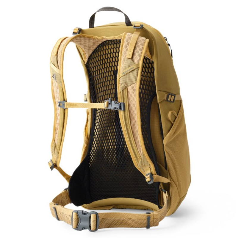 Gregory Arrio 24 Backpack in Amber Haze-1