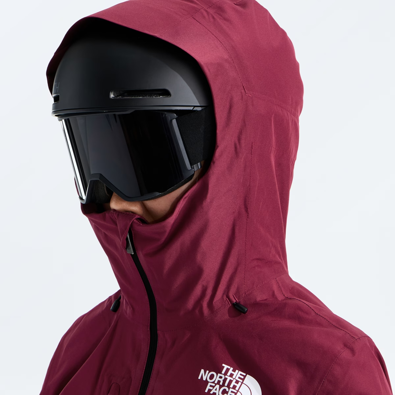 The North Face Women's Descendit Jacket in Burgundy Crush-6