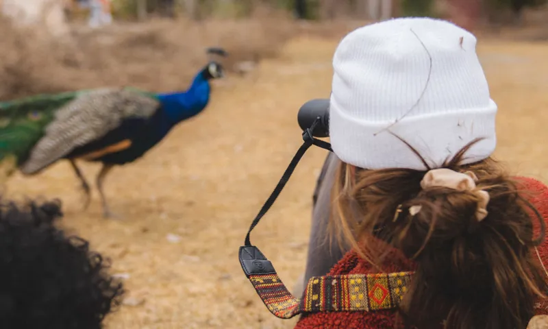 Nocs Woven Tapestry Strap in Natural Tone-4