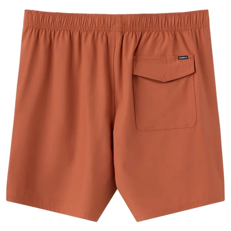 O'Neill Lennox Hermosa Solid Volley 17 inch Swim Trunks in Chutney-1