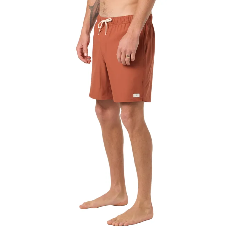 O'Neill Lennox Hermosa Solid Volley 17 inch Swim Trunks in Chutney-3