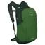 Osprey Daylite Pack in Green Belt/Green Canopy