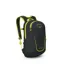 Osprey Daylite Jr Pack in Black/Lemongrass