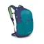 Osprey Daylite Plus in Blue Spikemoss and Alkaline