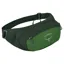 Osprey Daylite Waist Pack in Green Belt and Green Canopy