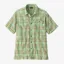 Patagonia A/C Shirt in Bloom and Rinsed Green