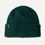 Patagonia Brodeo Beanie in Cascade Green
