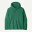 Patagonia Micro D Fleece Hoody in Gem Green